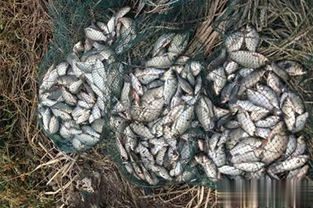 伤线, div, 钩坠一体的