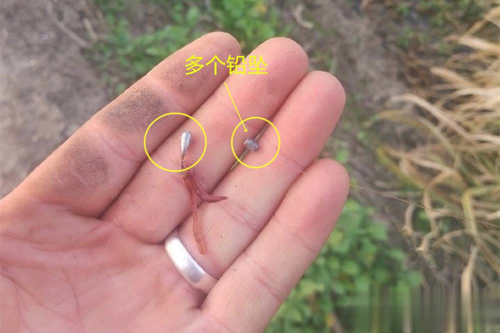 img, 调低钓高而