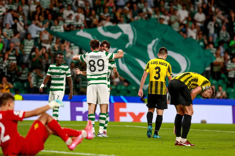 因为他们来, amp