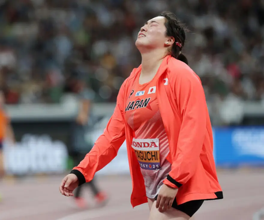 续进化, 子标枪选手, 日本核心北