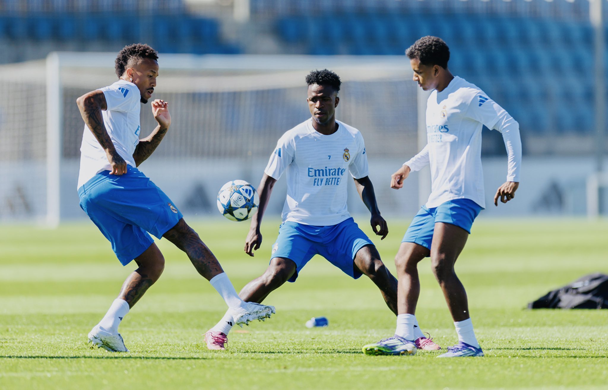 际由西班牙, 样本采集 际由西班牙, 样本采集